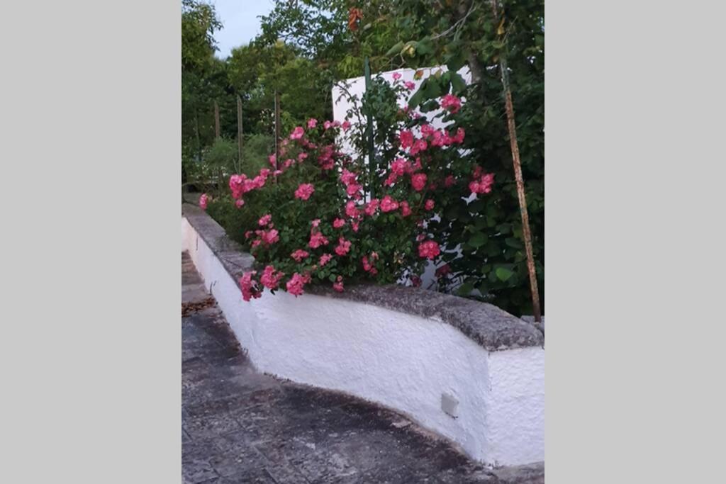 Trulli Relax A Martina Franca Βίλα Εξωτερικό φωτογραφία