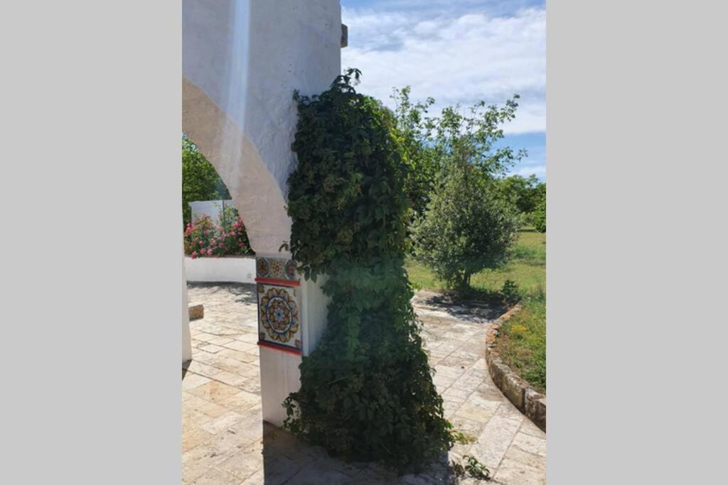 Trulli Relax A Martina Franca Βίλα Εξωτερικό φωτογραφία